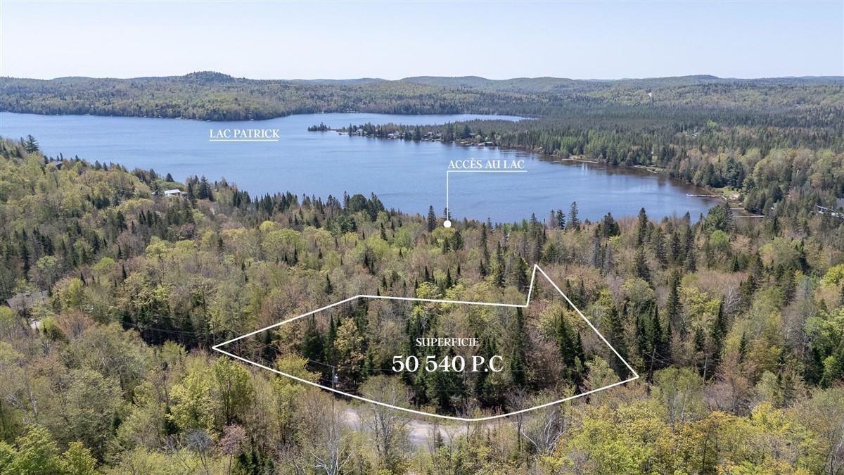 111 Ch. du Renard, Entrelacs, Quebec J0T 2E0, Canadá