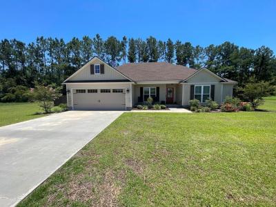 8 Bryant Dr, Ray City, Georgia 31645, USA