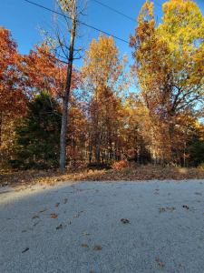 17 Tohatchi Circle, Cherokee Village, Arkansas 72529, USA