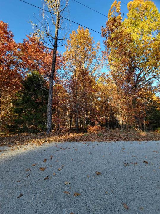 17 Tohatchi Circle, Cherokee Village, Arkansas 72529, USA