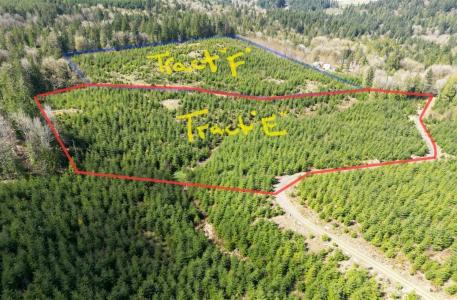 9201 Old Olympic Highway Nw #E, Olympia, Washington 98502, USA