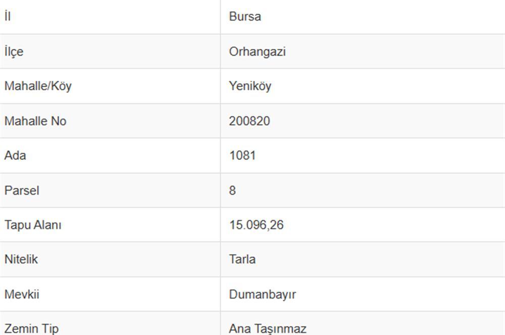 Bursa, 土耳其