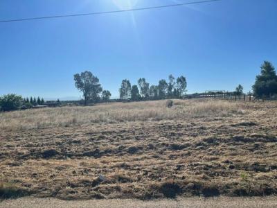 Brightwood, Madera, California 93638, USA