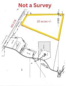 20 Acres MIssissippi Hwy 178, Fulton, Mississippi 38843, États-Unis