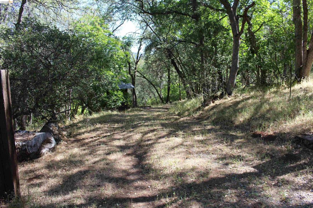 12000 Cattle Drive Trail, Columbia, California 95310, Stati Uniti