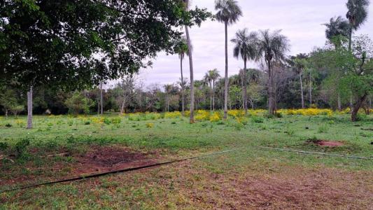 Compañía Itá Yvu Guasu 12345, Caacupé, Cordillera 00001, Le Paraguay
