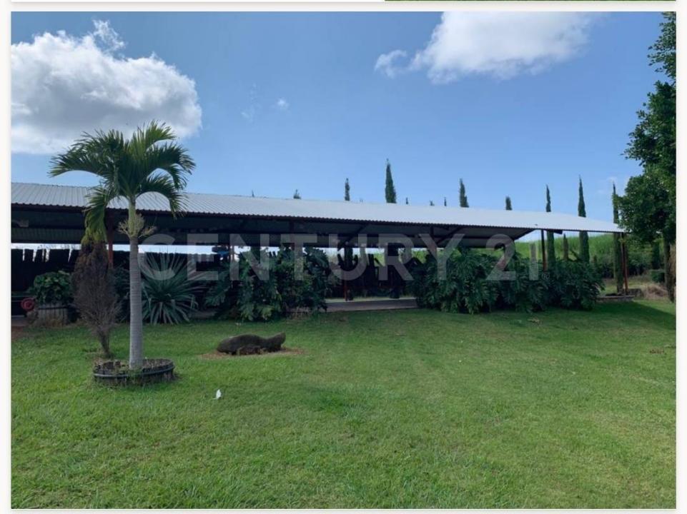 Otzoloapan, Estado De Mexico 51130, Mexico