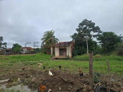 Nueva Trinidad I., Beni 00001, Bolivien