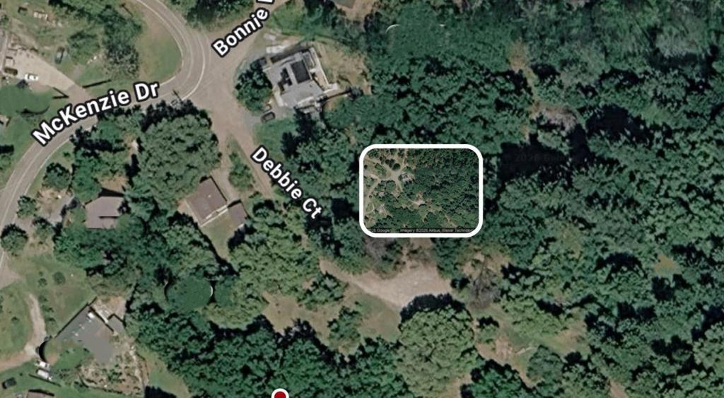 27891 Debbie Court, Pioneer, California 95666, Stati Uniti