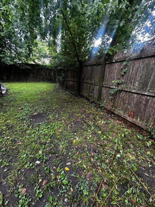 439 Campbell St, Lexington, Kentucky 40508, USA