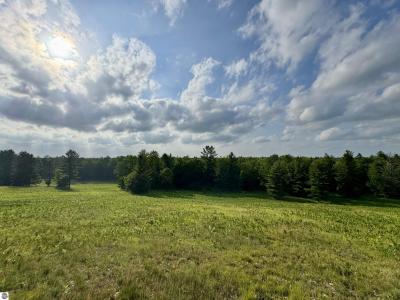 4264 SW Bald Eagles View, South Boardman, Michigan 49680, USA