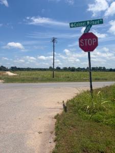 lot 10 Colonel Maynard Rd, Scott, Arkansas 72142, Estados Unidos