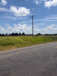 lot 1 Colonel Maynard Rd, Scott, Arkansas 72142, Estados Unidos