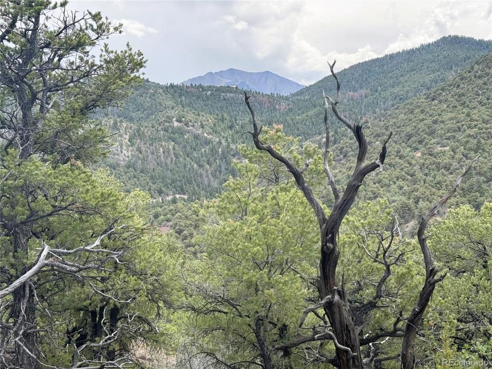 3282 Lower Camp Road, Howard, Colorado 81233, USA