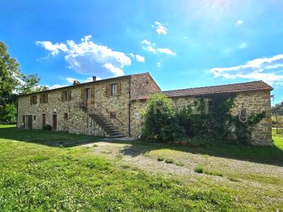 Località Vaticino, Castiglione Della Pescaia, Toscana 58043, Italie