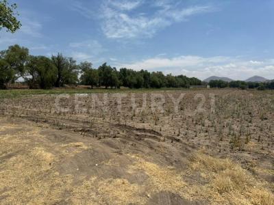 Antiguo camino a Tequisitlan Sin Número,, Acolman, Estado De México 55885, Mexiko