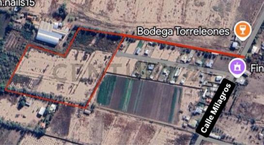 Milagros s/n a 700mts de carril Godoy Cruz , Guaymallén, Mendoza 5525, Argentinien