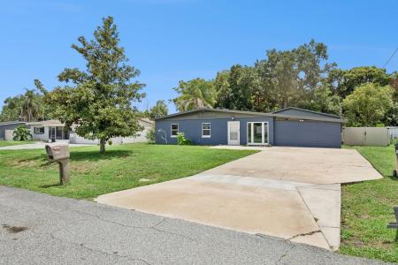 204 W Buchanon Avenue, Orlando, Florida 32809, USA