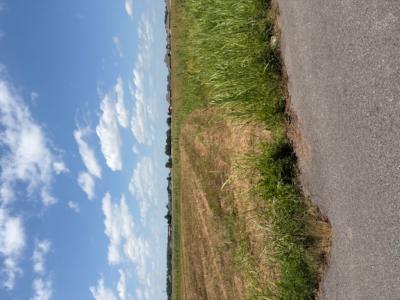 Lot 3 Upper Bend Steel Road, Scott, Arkansas 72142, Stati Uniti