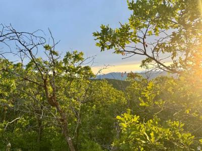 1556 S TREE TOP LN 353, Heber City, Utah 84032, Stati Uniti