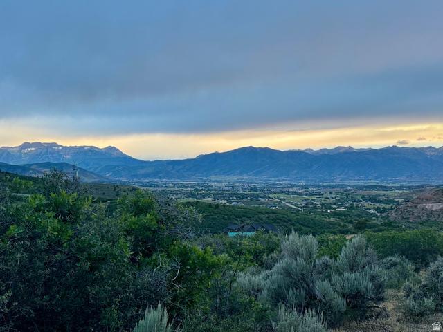 7435 E OAKVIEW DR 1477, Heber City, Utah 84032, HOA KỲ