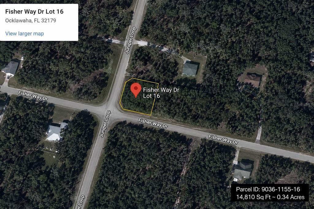 Fisher Way Dr Lot 16, Ocklawaha, Floride 32179, États-Unis