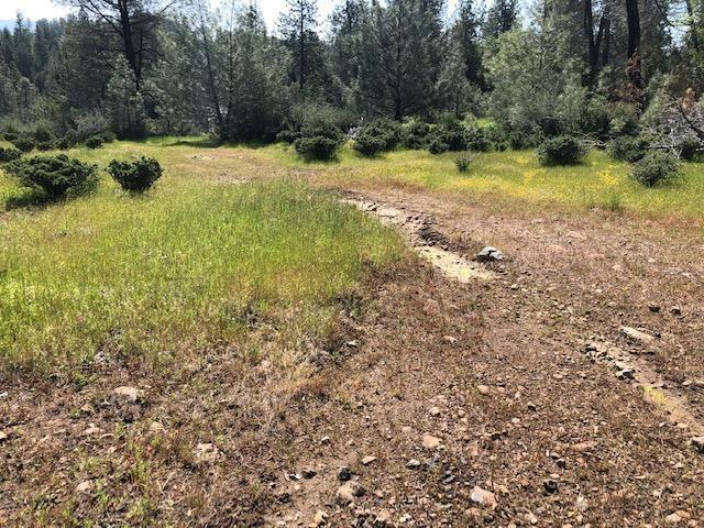 Carson Drive, Pioneer, Californie 95666, États-Unis
