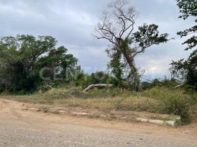 Ex Hacienda la Cañada Manzana 116 Lote 04,, Comala, Colima 28450, Mexique