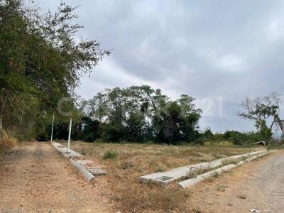 Ex Hacienda la Cañada Manzana 116 Lote 06,, Comala, Colima 28450, Mexique