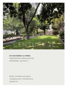mimosas 408,, Zapopan, Jalisco 45130, Mexico