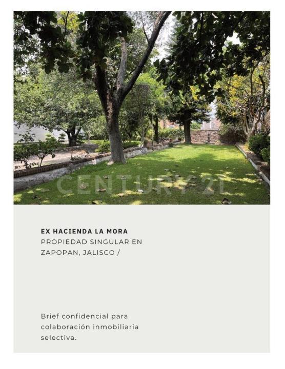 mimosas 408,, Zapopan, Jalisco 45130, Mexique