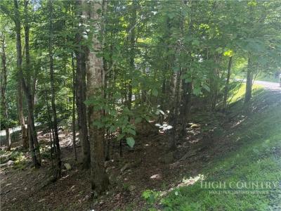 200 Wild Daisy Road, Beech Mountain, 北卡羅來納州 28604, 美國