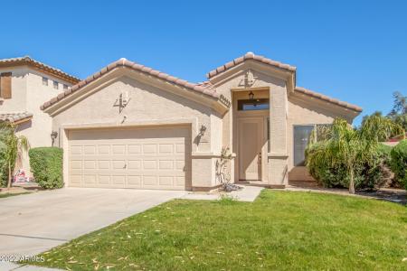 962 W Desert Broom Court, Chandler, Arizona 85248, Stati Uniti