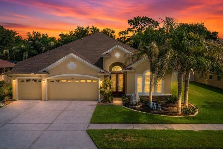 27405 Sora Blvd, Wesley Chapel, Florida 33544, Stati Uniti