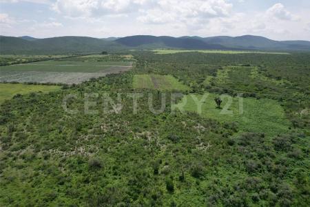 Río Verde, San Luis Potosí 79610, Mexico