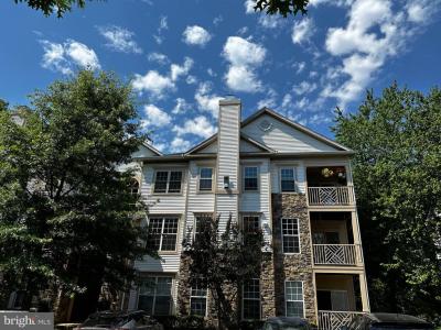 5958 Founders Hill Drive , 301, Alexandria, Virginia 22310, Stati Uniti