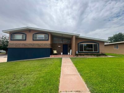 2911 Mountain View Drive, Carlsbad, Nouveau-Mexique 88220, États-Unis