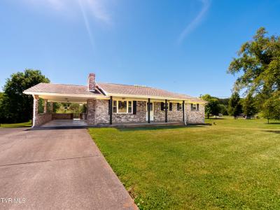 156 Pyne Hills Drive, Rogersville, Tennessee 37857, États-Unis