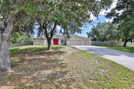 10234 Bloomfield Hills Dr, Seffner, Florida 33584, Amerika Birleşik Devletleri