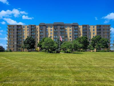 5400 Walnut Avenue , 406, Downers Grove, Illinois 60515, USA