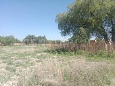 calle sin nomre y sin numero sn,, Tecámac, État De Mexico 55740, Mexique