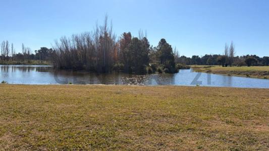 panamericana , Campana, GBA Norte 2814, 阿根廷