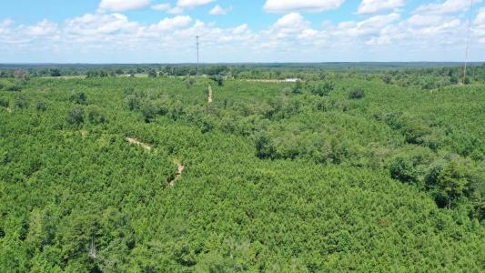 0000 Shady Grove Road, Jefferson, Texas 75657, USA