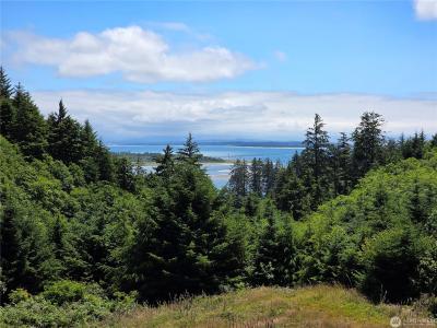 31 XX Discovery Ct, Ilwaco, Washington 98624, Stati Uniti