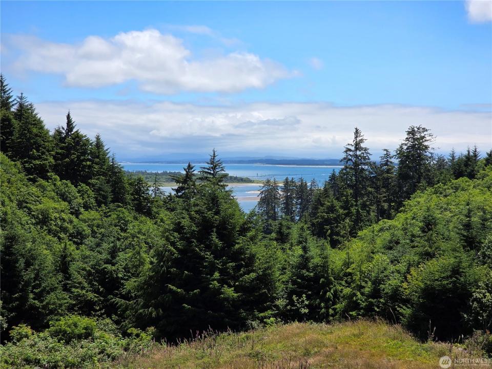 31 XX Discovery Ct, Ilwaco, 華盛頓州 98624, 美國