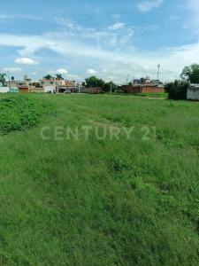 Cuautlancingo, Puebla 72710, Mexiko