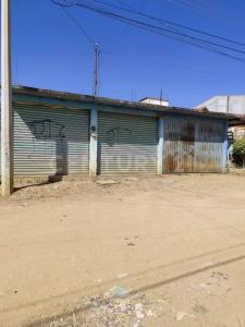 Santa Cruz Xoxocotlan, Oaxaca 71233, Mexique