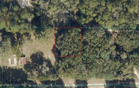NE 164 Lane, Citra, Florida 32113, Estados Unidos