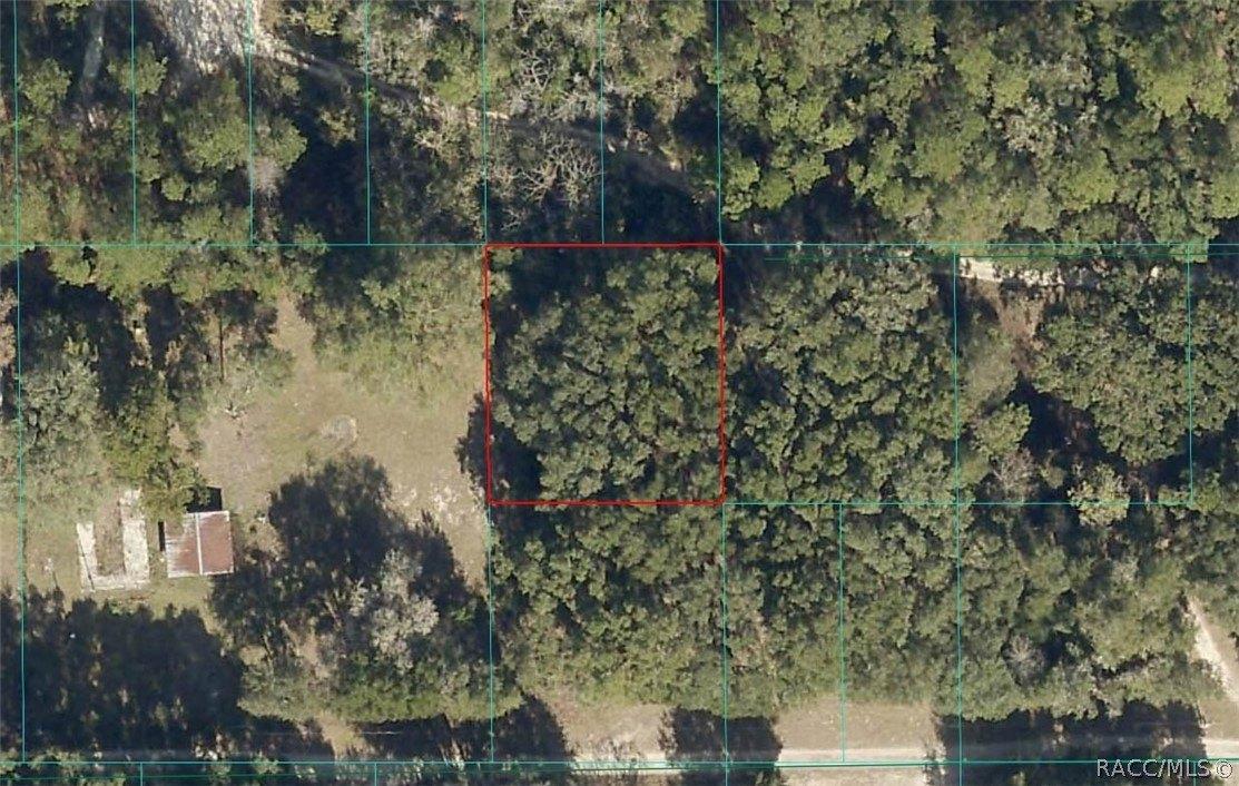 NE 164 Lane, Citra, Florida 32113, Estados Unidos