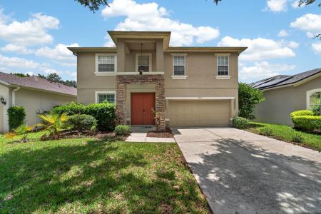 19128 Meadow Pine Dr , Tampa, Florida 33647, USA